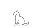 Dogs