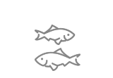 Fish & Aquatic Pets