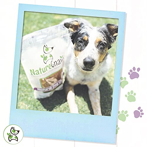 Nature Gnaws - Long Lasting Dog Chews for Dogs - Puppy Chew Treats - Chew Bones - Puppy Bully Sticks and Chew Sticks - Puppy Bones for Teething - Combo Bag - Natural, Rawhide Free (12 Count) - Image 4