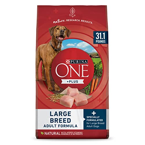 Purina ONE Natural Large Breed Adult Dry Dog Food, +Plus Formula - 31.1 lb. Bag