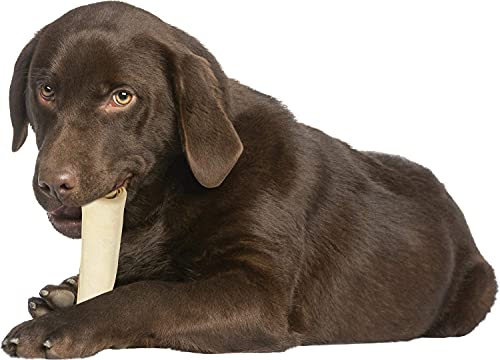 Pet Factory 100% Made in USA Beefhide Chip Rolls Dog Chews, Natural Flavor, Treats for Small & Medium Dogs - 5", 22 Count/1 Pack - Image 6