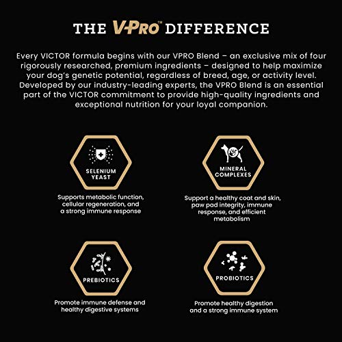 VICTOR Super Premium Dog Food – Hi-Pro Plus Dry Dog Food – 30% Protein, Gluten Free - for High Energy and Active Dogs & Puppies, 40lbs - Image 7