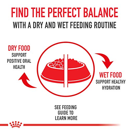 Royal Canin Small Breed Adult Dry Dog Food, 14 lb bag - Image 2
