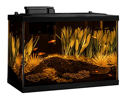 Tetra ColorFusion Aquarium 20 Gallon Fish Tank Kit, Includes LED Lighting and Decor - Image 3