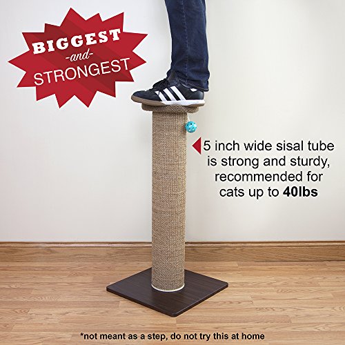 Kitty City Premium 32 inch Tall Woven Sisal Carpet Cat Scratching Post, Cat Scratching Furniture, Cat Post, 15.8 x 15.8 x 32 inches, Model Number: CM-0262-CS01 - Image 6