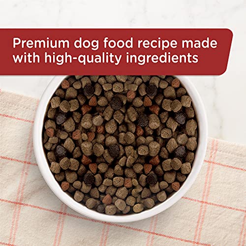 Rachael Ray Nutrish Premium Natural Dry Dog Food, Real Beef, Pea, & Brown Rice Recipe, 40 Pounds - Image 10