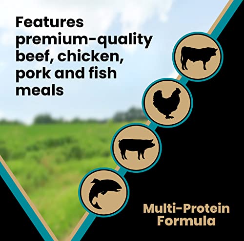 VICTOR Super Premium Dog Food – Hi-Pro Plus Dry Dog Food – 30% Protein, Gluten Free - for High Energy and Active Dogs & Puppies, 40lbs - Image 5