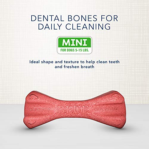 Blue Buffalo Dental Bones Mini Natural Dental Chew Dog Treats, (5-15 lbs) 27-oz Bag Value Pack - Image 7