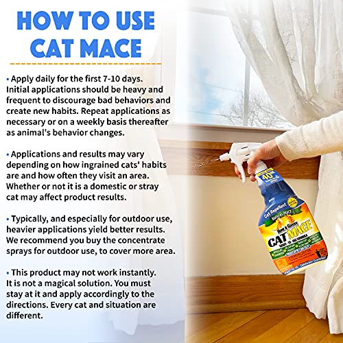 Nature's MACE Cat Repellent 40oz Spray/Treats 1,000 Sq. Ft. / Keep Cats Out of Your Lawn and Garden/Train Your Cat to Stay Out of Bushes/Safe to use Around Children & Plants - Image 3