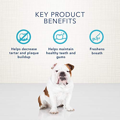 Blue Buffalo Dental Bones Mini Natural Dental Chew Dog Treats, (5-15 lbs) 27-oz Bag Value Pack - Image 6