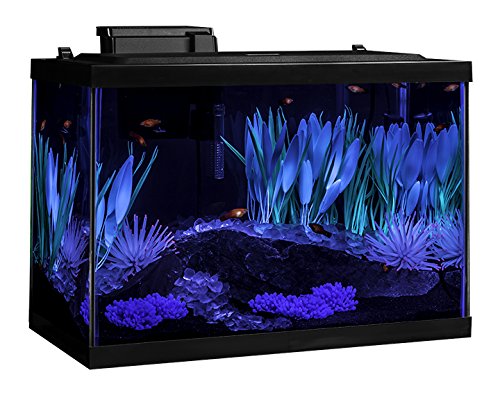 Tetra ColorFusion Aquarium 20 Gallon Fish Tank Kit, Includes LED Lighting and Decor - Image 5