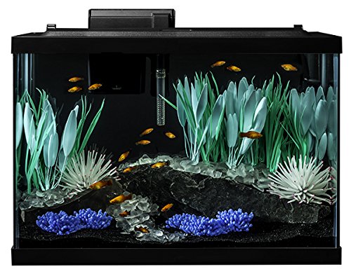 Tetra ColorFusion Aquarium 20 Gallon Fish Tank Kit, Includes LED Lighting and Decor - Image 7