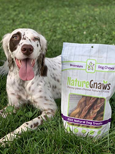 Nature Gnaws - Long Lasting Dog Chews for Dogs - Puppy Chew Treats - Chew Bones - Puppy Bully Sticks and Chew Sticks - Puppy Bones for Teething - Combo Bag - Natural, Rawhide Free (12 Count) - Image 2