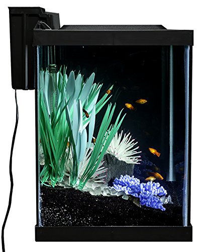 Tetra ColorFusion Aquarium 20 Gallon Fish Tank Kit, Includes LED Lighting and Decor - Image 6
