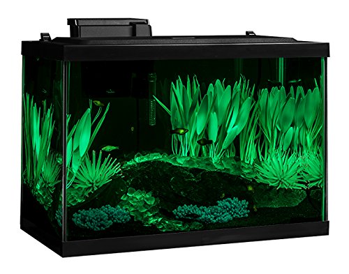 Tetra ColorFusion Aquarium 20 Gallon Fish Tank Kit, Includes LED Lighting and Decor - Image 4