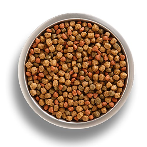 Rachael Ray Nutrish Premium Natural Dry Dog Food, Real Beef, Pea, & Brown Rice Recipe, 40 Pounds - Image 5