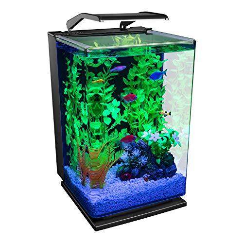 GloFish Aquarium Kit 5 Gallons, Includes Hinged Cycle Light and Hidden Filtration