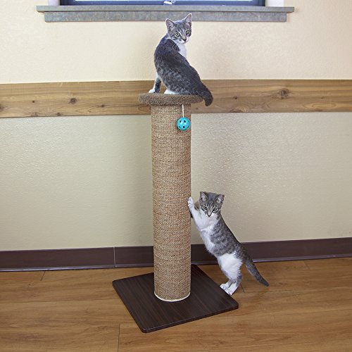 Kitty City Premium 32 inch Tall Woven Sisal Carpet Cat Scratching Post, Cat Scratching Furniture, Cat Post, 15.8 x 15.8 x 32 inches, Model Number: CM-0262-CS01 - Image 4