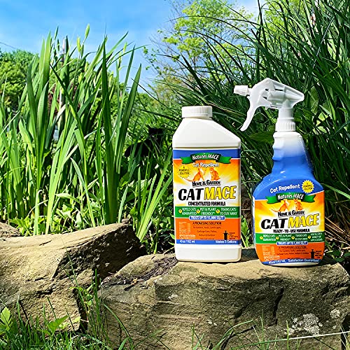 Nature's MACE Cat Repellent 40oz Spray/Treats 1,000 Sq. Ft. / Keep Cats Out of Your Lawn and Garden/Train Your Cat to Stay Out of Bushes/Safe to use Around Children & Plants - Image 2